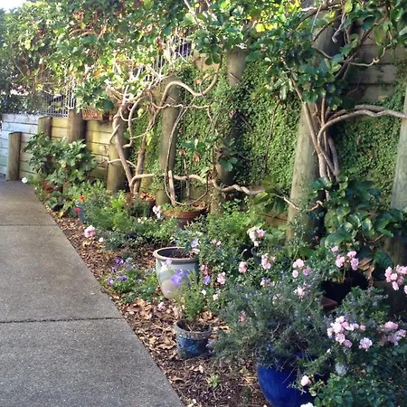 Absolute Waterfront Serenity Near Auckland Clarks Beach Exterior photo