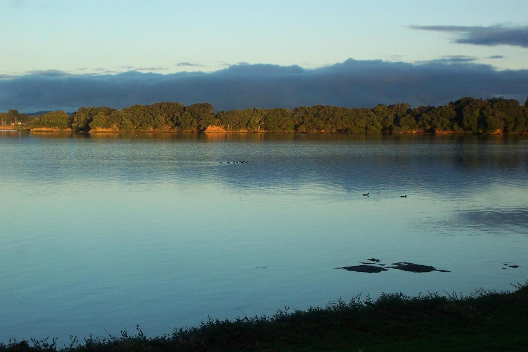 Absolute Waterfront Serenity Near Auckland Apartment