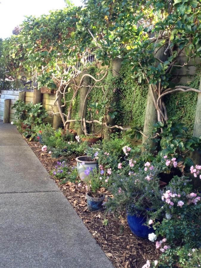 Absolute Waterfront Serenity Near Auckland Clarks Beach
